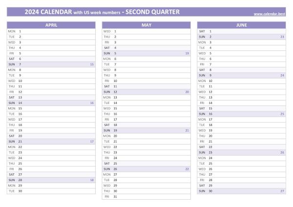Printable 2nd quarter 2024 calendar with us week numbers, purple template Calendar for the second quarter of 2024 with week numbers