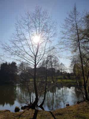 Photo illustrating the seasons: autumn landscape.