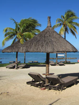 Photo illustrating the seasons: sunny summer at the beach.